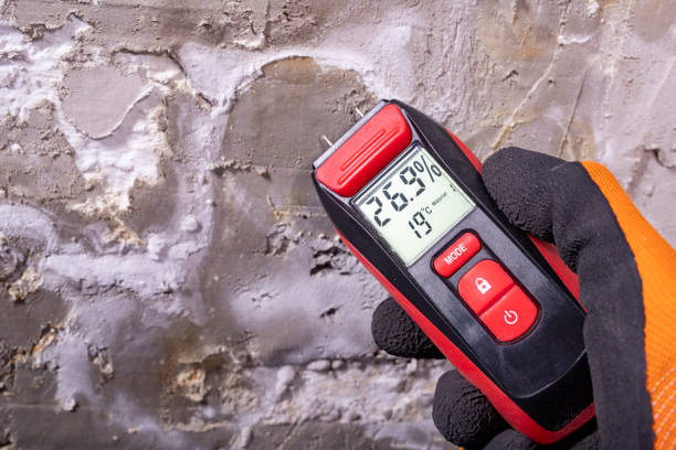 Best Mold Testing  in Mount Pleasant, UT