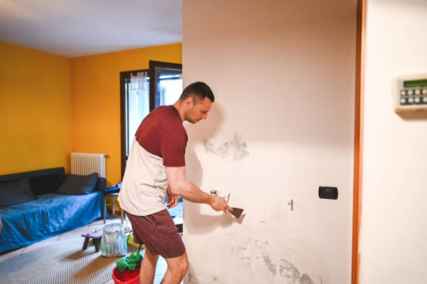 Best Toxic Mold Removal  in Mount Pleasant, UT